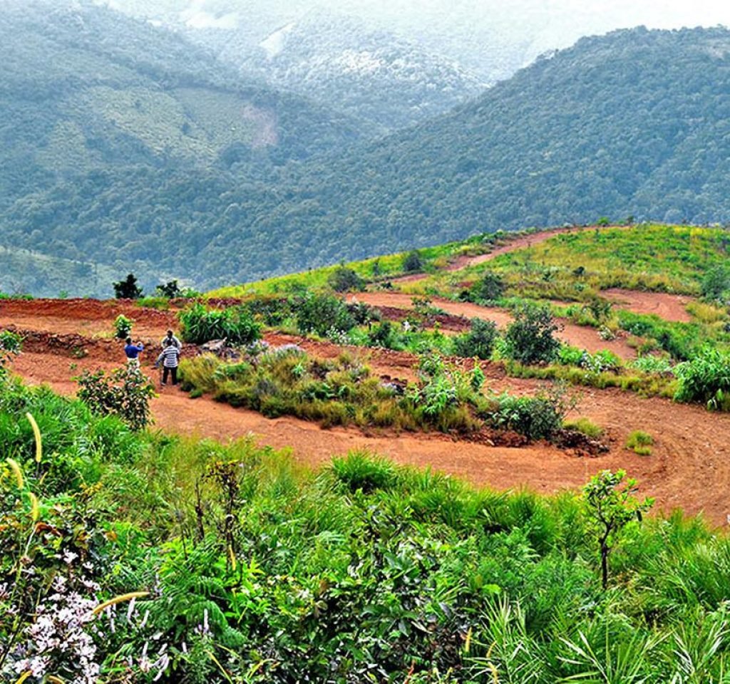 maredumilli 1 day tour package